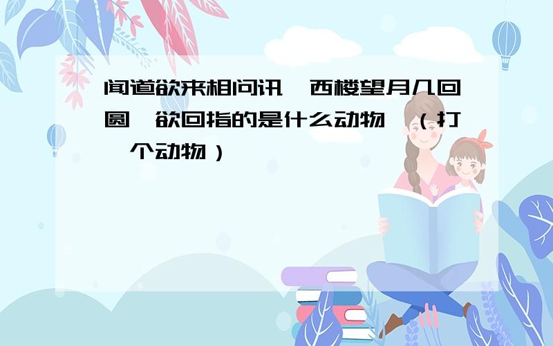 闻道欲来相问讯,西楼望月几回圆,欲回指的是什么动物,（打一个动物）