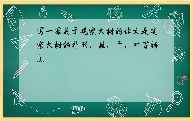 写一篇关于观察大树的作文是观察大树的外形、枝、干、叶等特点