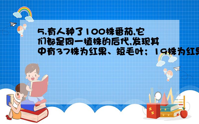 5.有人种了100株番茄,它们都是同一植株的后代,发现其中有37株为红果、短毛叶；19株为红果、无毛叶；18株为红果、长毛叶；12株为黄果、短毛叶；7株为黄果、长毛叶；7株为黄果、无毛叶.根