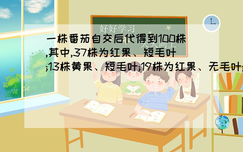 一株番茄自交后代得到100株,其中,37株为红果、短毛叶;13株黄果、短毛叶;19株为红果、无毛叶;6株黄果、无毛叶;18株为红果、长毛叶;7株为黄果、长毛叶.写出亲崐本的基因型和表现型,并说明