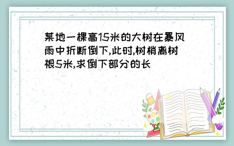 某地一棵高15米的大树在暴风雨中折断倒下,此时,树梢离树根5米,求倒下部分的长