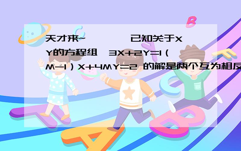 天才来~````已知关于X,Y的方程组{3X+2Y=1（M-1）X+4MY=2 的解是两个互为相反数的数,求M的值