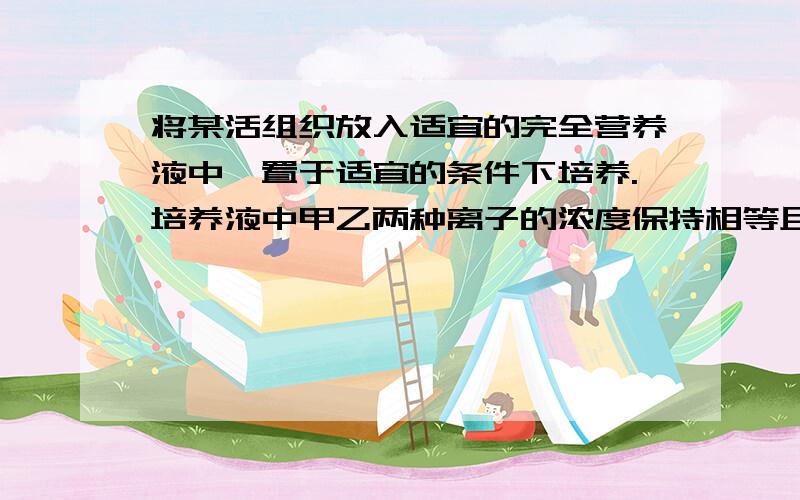 将某活组织放入适宜的完全营养液中,置于适宜的条件下培养.培养液中甲乙两种离子的浓度保持相等且恒定,定期测得细胞中两种离子的含量,得到如下图所示曲线,据图分析下列叙述中正确的