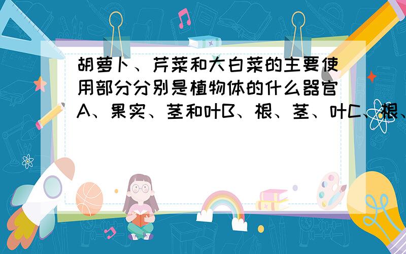 胡萝卜、芹菜和大白菜的主要使用部分分别是植物体的什么器官A、果实、茎和叶B、根、茎、叶C、根、叶、茎D、根、茎、茎