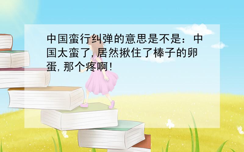 中国蛮行纠弹的意思是不是：中国太蛮了,居然揪住了棒子的卵蛋,那个疼啊!