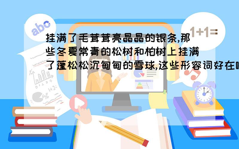 挂满了毛茸茸亮晶晶的银条,那些冬夏常青的松树和柏树上挂满了蓬松松沉甸甸的雪球,这些形容词好在哪里?毛茸茸亮晶晶蓬松松沉甸甸?