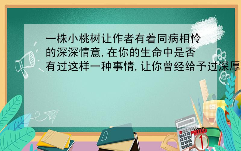 一株小桃树让作者有着同病相怜的深深情意,在你的生命中是否有过这样一种事情,让你曾经给予过深厚的情感