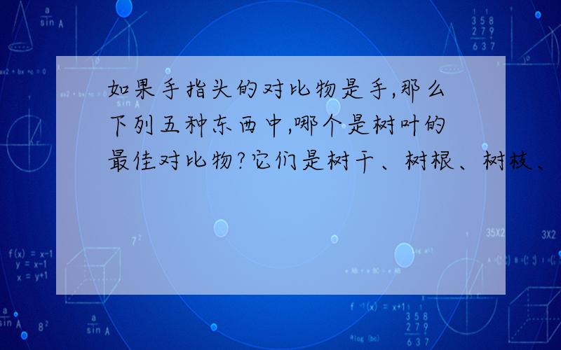 如果手指头的对比物是手,那么下列五种东西中,哪个是树叶的最佳对比物?它们是树干、树根、树枝、树梢