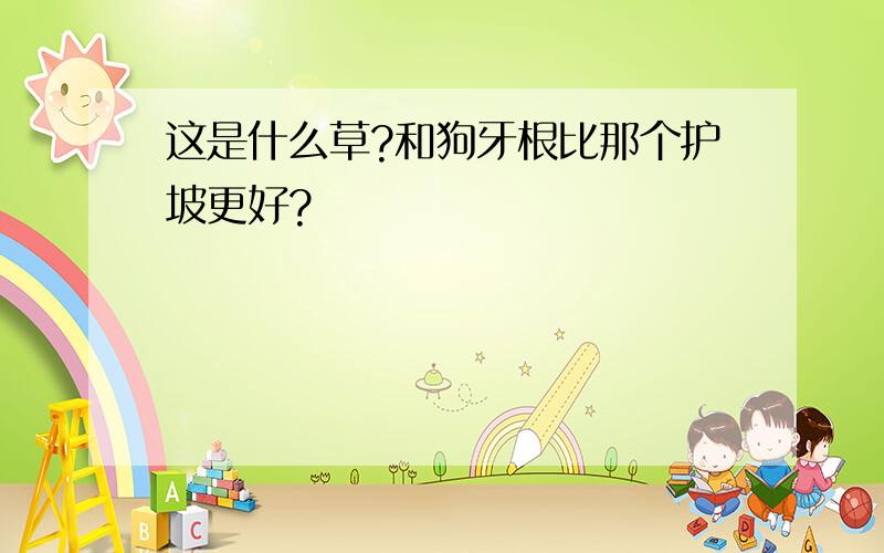 这是什么草?和狗牙根比那个护坡更好?