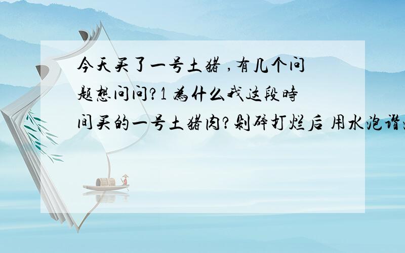 今天买了一号土猪 ,有几个问题想问问?1 为什么我这段时间买的一号土猪肉?剁碎打烂后 用水泡谮泡不散,而其,不用放豆份也很爽?2 以前买的感觉好像不一样,这次买的部位是“柳梅”瘦肉 因