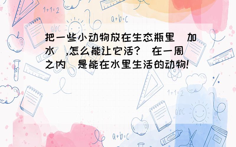 把一些小动物放在生态瓶里（加水）,怎么能让它活?（在一周之内）是能在水里生活的动物!