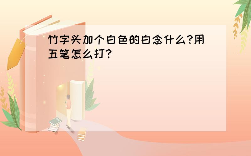 竹字头加个白色的白念什么?用五笔怎么打?