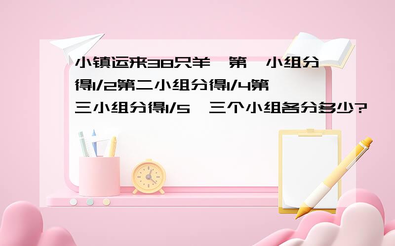 小镇运来38只羊,第一小组分得1/2第二小组分得1/4第三小组分得1/5,三个小组各分多少?