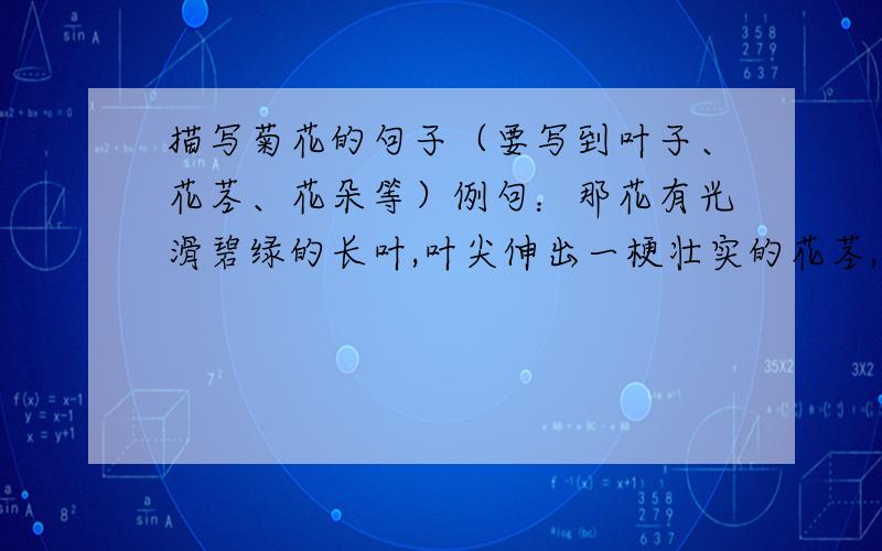 描写菊花的句子（要写到叶子、花茎、花朵等）例句：那花有光滑碧绿的长叶,叶尖伸出一梗壮实的花茎,上面托了朵柔美的花,活脱脱像只典雅的高脚酒杯.（郁金香）