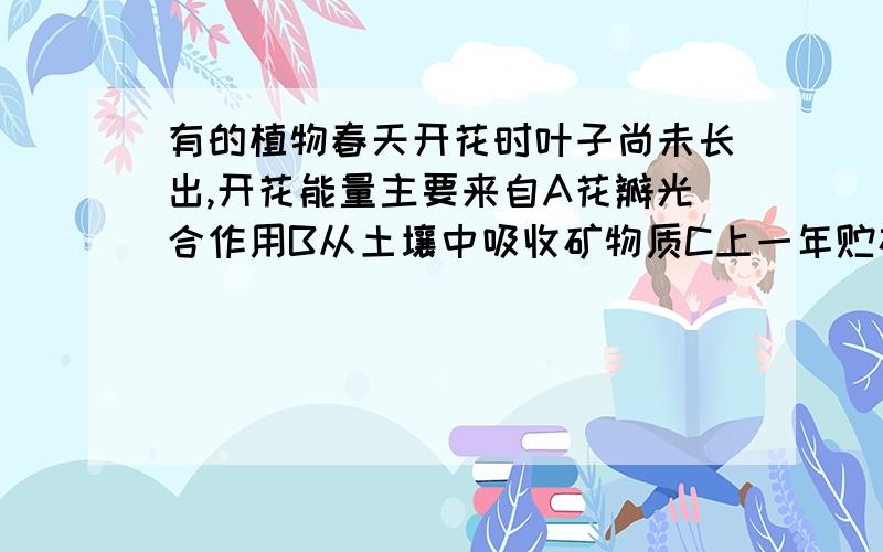 有的植物春天开花时叶子尚未长出,开花能量主要来自A花瓣光合作用B从土壤中吸收矿物质C上一年贮存的营养