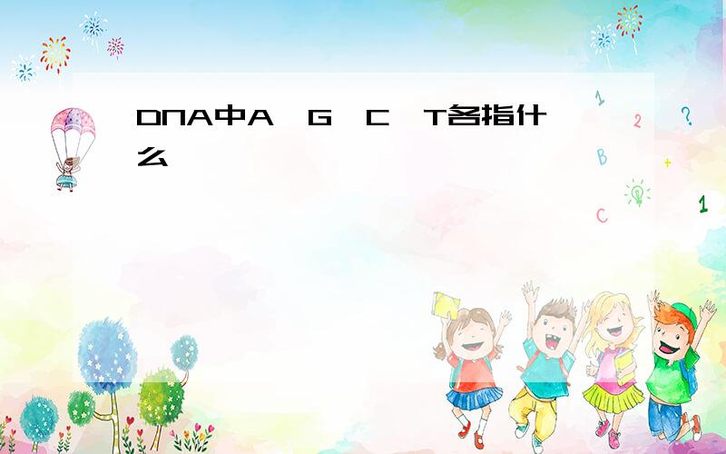 DNA中A,G,C,T各指什么