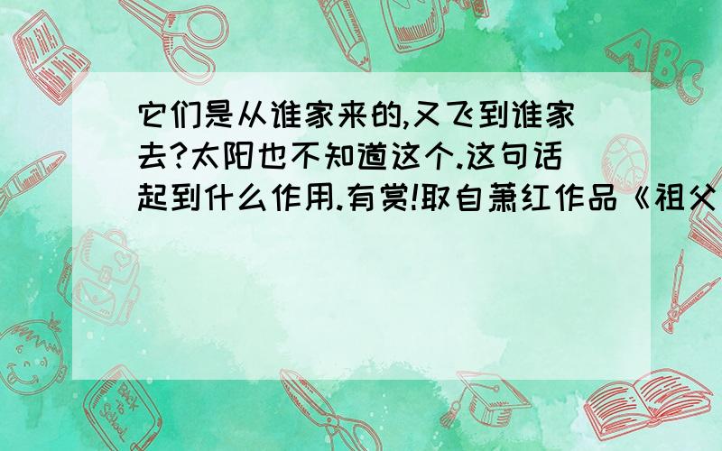 它们是从谁家来的,又飞到谁家去?太阳也不知道这个.这句话起到什么作用.有赏!取自萧红作品《祖父和我》