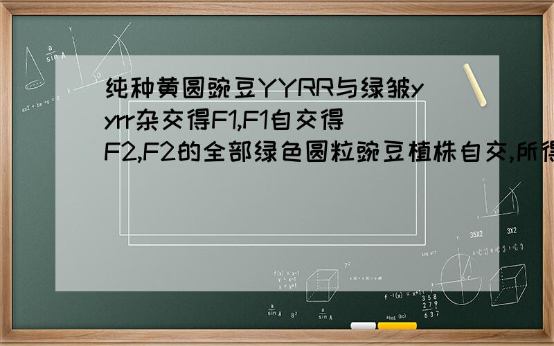 纯种黄圆豌豆YYRR与绿皱yyrr杂交得F1,F1自交得F2,F2的全部绿色圆粒豌豆植株自交,所得F3中纯合绿色圆粒比例为多少,