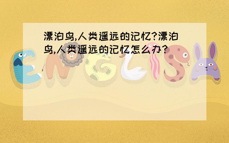 漂泊鸟,人类遥远的记忆?漂泊鸟,人类遥远的记忆怎么办?