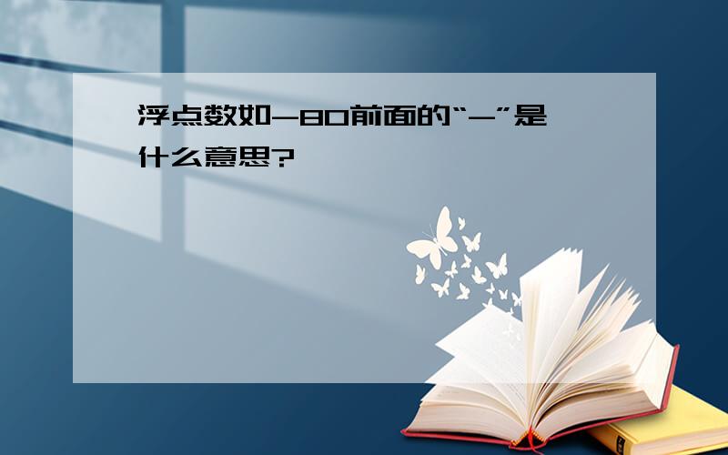 浮点数如-80前面的“-”是什么意思?