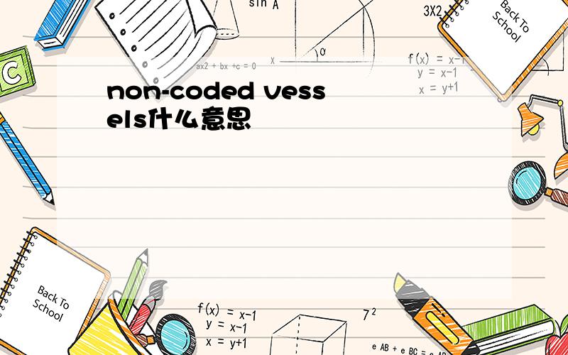 non-coded vessels什么意思