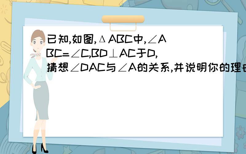 已知,如图,ΔABC中,∠ABC=∠C,BD⊥AC于D,猜想∠DAC与∠A的关系,并说明你的理由哪里有∠DAC?