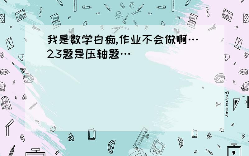 我是数学白痴,作业不会做啊…23题是压轴题…