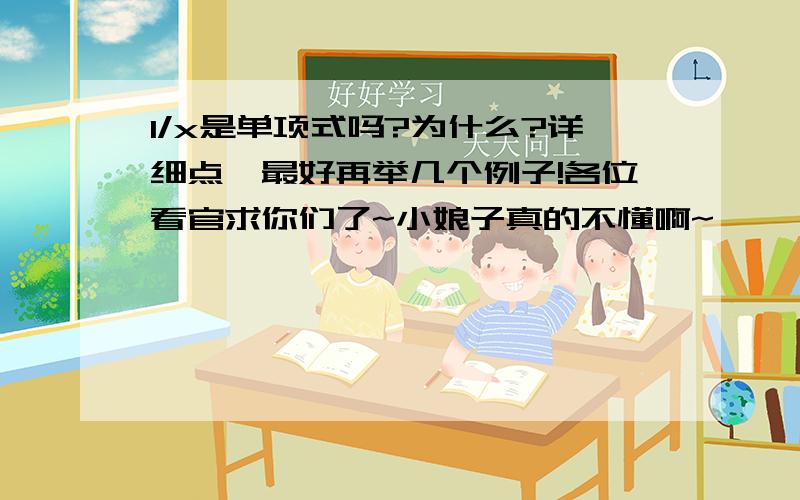 1/x是单项式吗?为什么?详细点,最好再举几个例子!各位看官求你们了~小娘子真的不懂啊~