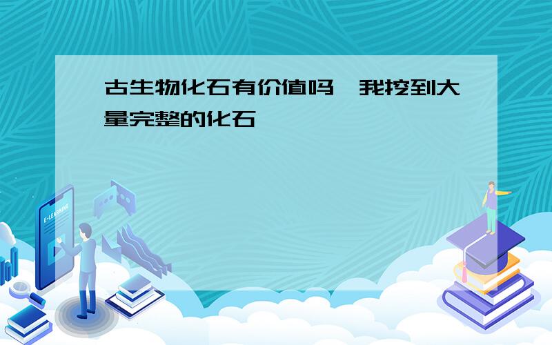 古生物化石有价值吗,我挖到大量完整的化石