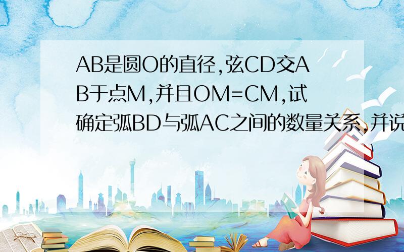 AB是圆O的直径,弦CD交AB于点M,并且OM=CM,试确定弧BD与弧AC之间的数量关系,并说明理由