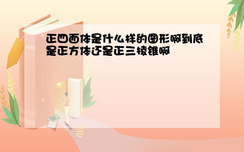 正四面体是什么样的图形啊到底是正方体还是正三棱锥啊