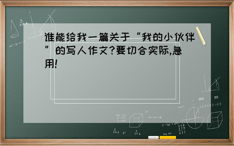 谁能给我一篇关于“我的小伙伴”的写人作文?要切合实际,急用!