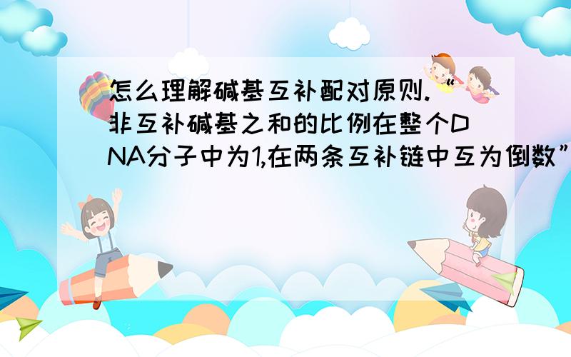 怎么理解碱基互补配对原则.“非互补碱基之和的比例在整个DNA分子中为1,在两条互补链中互为倒数”这句话怎么理解?（能不能举几个简单的例子,最好通俗易懂,不要讲得那么学术）