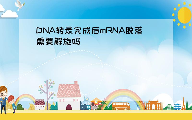 DNA转录完成后mRNA脱落需要解旋吗