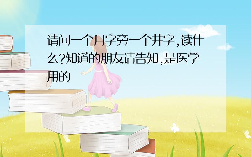 请问一个月字旁一个井字,读什么?知道的朋友请告知,是医学用的