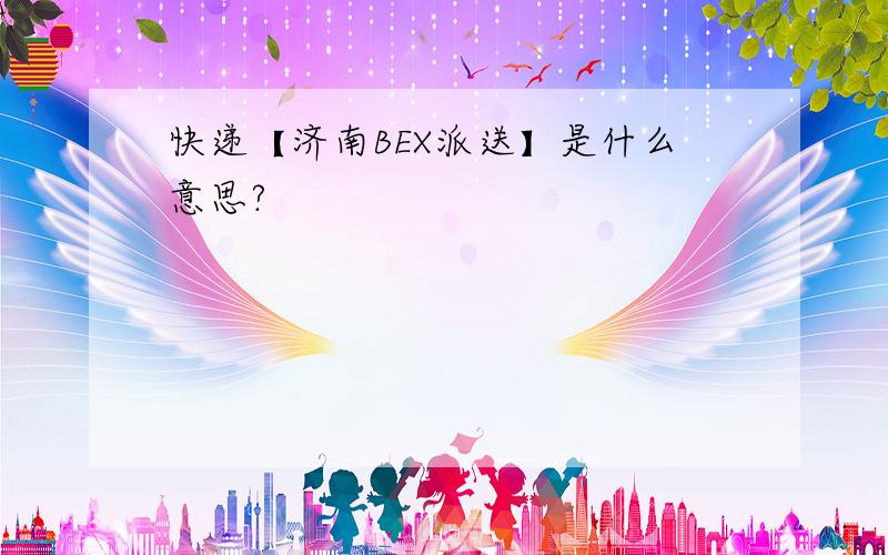 快递【济南BEX派送】是什么意思?