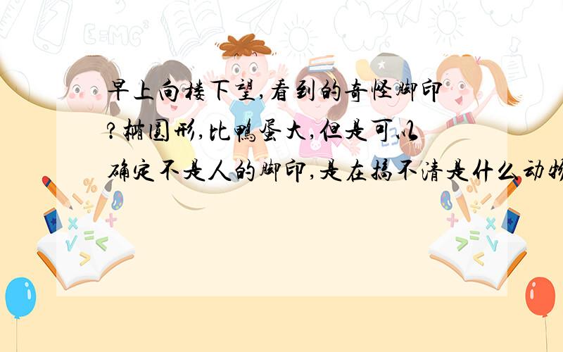 早上向楼下望,看到的奇怪脚印?椭圆形,比鸭蛋大,但是可以确定不是人的脚印,是在搞不清是什么动物的脚印,可以走成一条直线【脚的规律是这样的 / \ / \ / \ /,观察可以看出