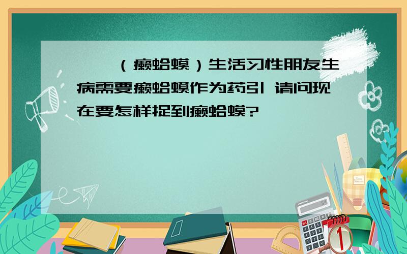 蟾蜍（癞蛤蟆）生活习性朋友生病需要癞蛤蟆作为药引 请问现在要怎样捉到癞蛤蟆?