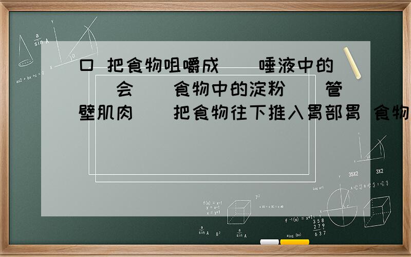 口 把食物咀嚼成（）唾液中的（）会（）食物中的淀粉（)管壁肌肉（）把食物往下推入胃部胃 食物经搅拌后,与胃壁分泌的胃酸和()混合,食物中的（）开始消化（）杀死食物内的细菌小肠