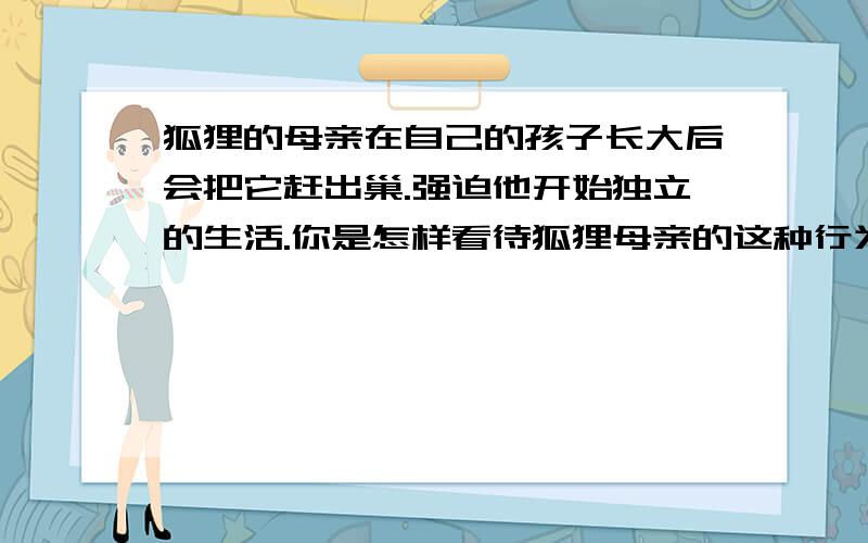 狐狸的母亲在自己的孩子长大后会把它赶出巢.强迫他开始独立的生活.你是怎样看待狐狸母亲的这种行为.