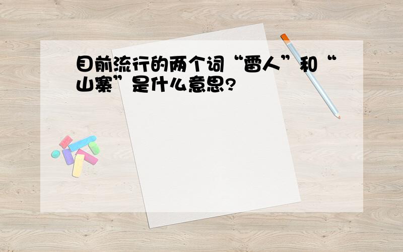 目前流行的两个词“雷人”和“山寨”是什么意思?