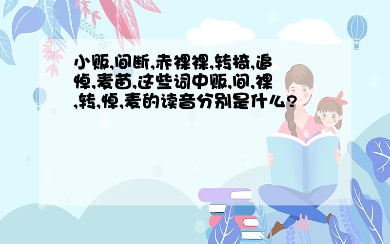 小贩,间断,赤裸裸,转椅,追悼,麦苗,这些词中贩,间,裸,转,悼,麦的读音分别是什么?