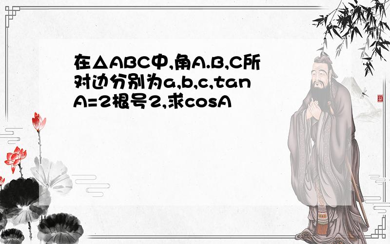 在△ABC中,角A.B,C所对边分别为a,b,c,tanA=2根号2,求cosA