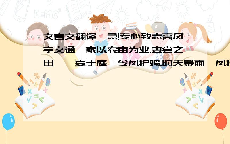 文言文翻译,急!专心致志高凤字文通,家以农亩为业.妻尝之田,曝麦于庭,令凤护鸡.时天暴雨,凤持竿诵经,不觉潦水流麦.妻还怪问,乃省.