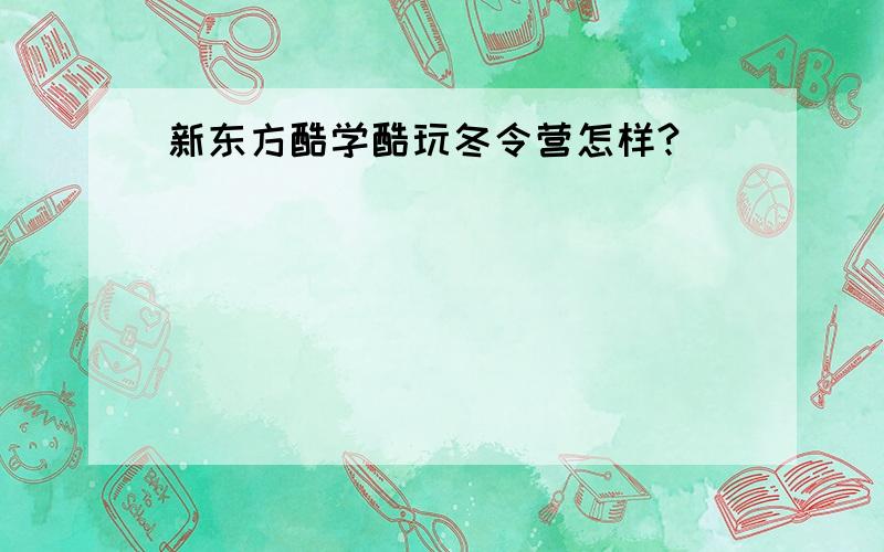 新东方酷学酷玩冬令营怎样?