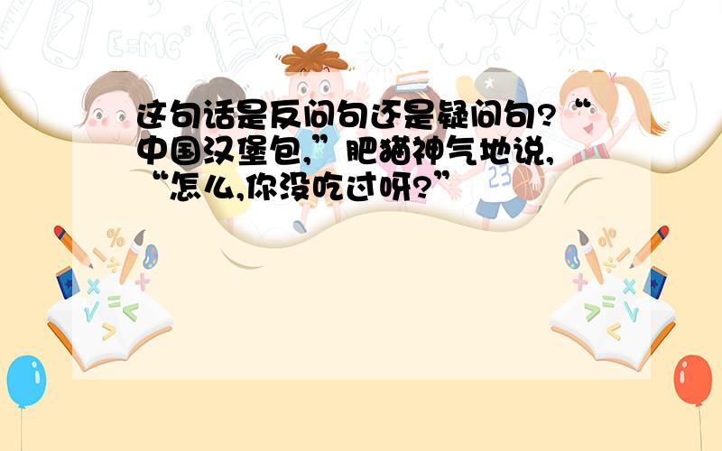 这句话是反问句还是疑问句?“中国汉堡包,”肥猫神气地说,“怎么,你没吃过呀?”