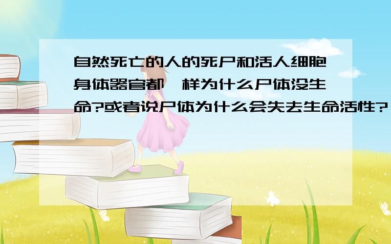 自然死亡的人的死尸和活人细胞身体器官都一样为什么尸体没生命?或者说尸体为什么会失去生命活性?