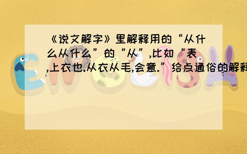 《说文解字》里解释用的“从什么从什么”的“从”,比如“表,上衣也.从衣从毛,会意.”给点通俗的解释行不？这些内容我自己也能找到，要的这对应现代汉语合适的翻译