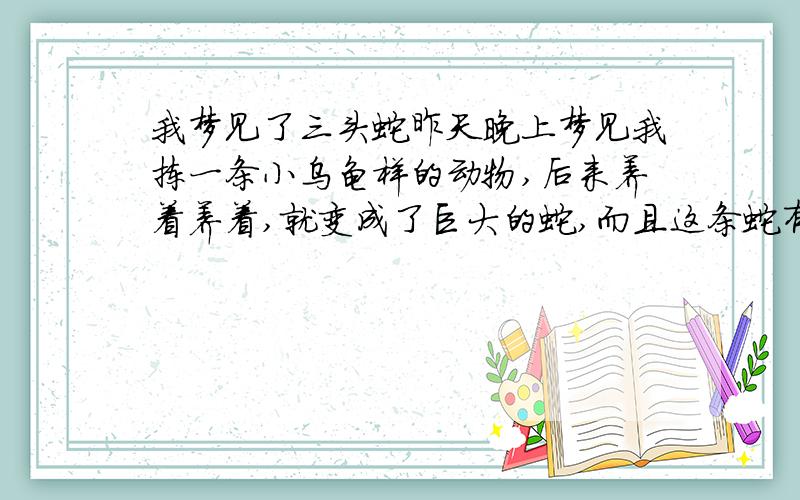 我梦见了三头蛇昨天晚上梦见我拣一条小乌龟样的动物,后来养着养着,就变成了巨大的蛇,而且这条蛇有三个头,后来那个蛇三个头同时咬我,我忽然间又梦见了孙悟空,那条巨大无比的三头蛇终