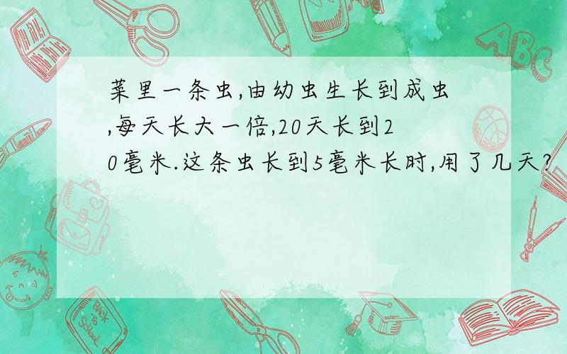 菜里一条虫,由幼虫生长到成虫,每天长大一倍,20天长到20毫米.这条虫长到5毫米长时,用了几天?